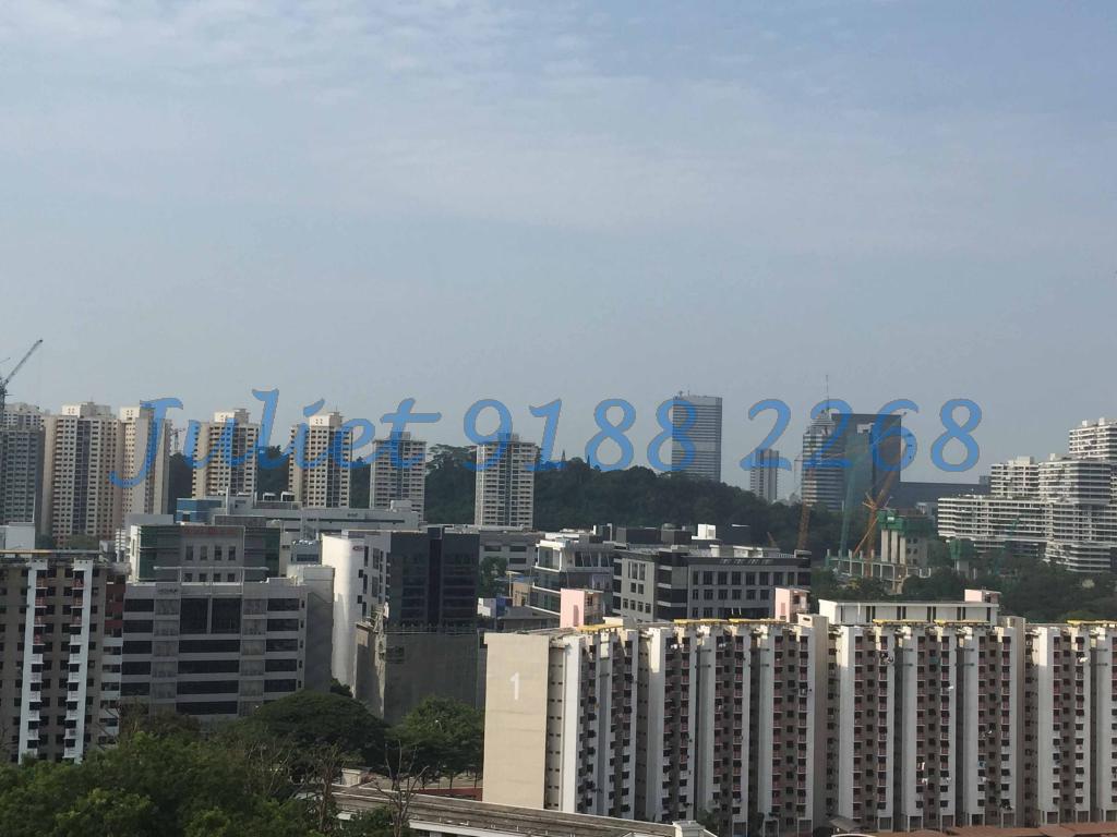 Blk 38 Jalan Rumah Tinggi (Bukit Merah), HDB 4 Rooms #89378342